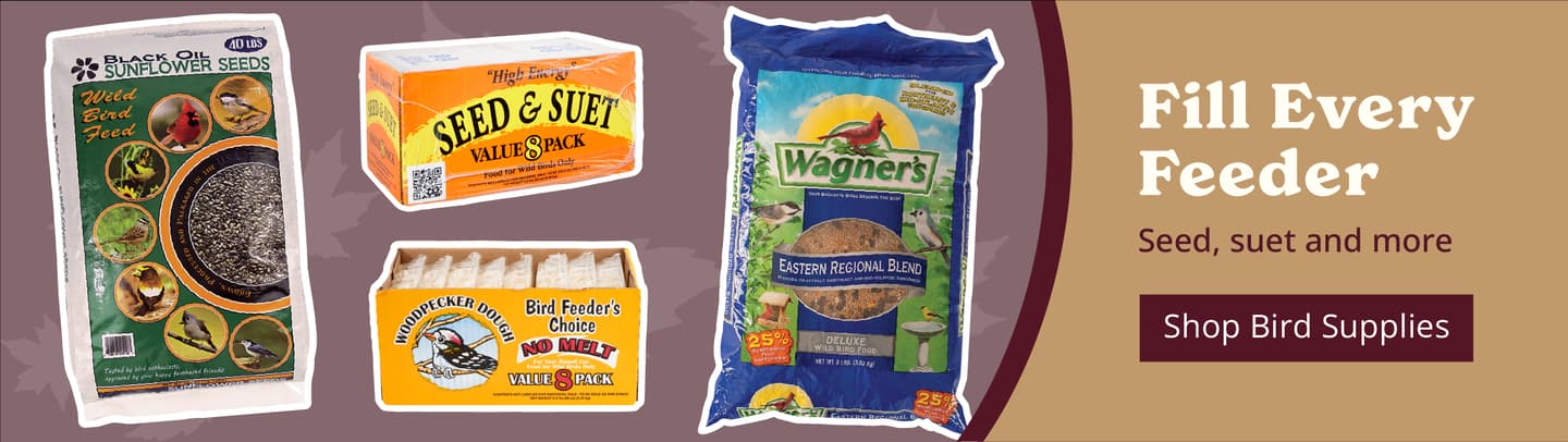 Shop Bird Supplies