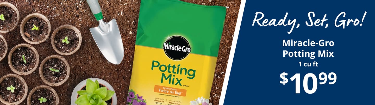 40% back on bob's red mill