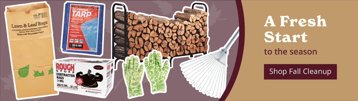 Shop Fall Cleanup