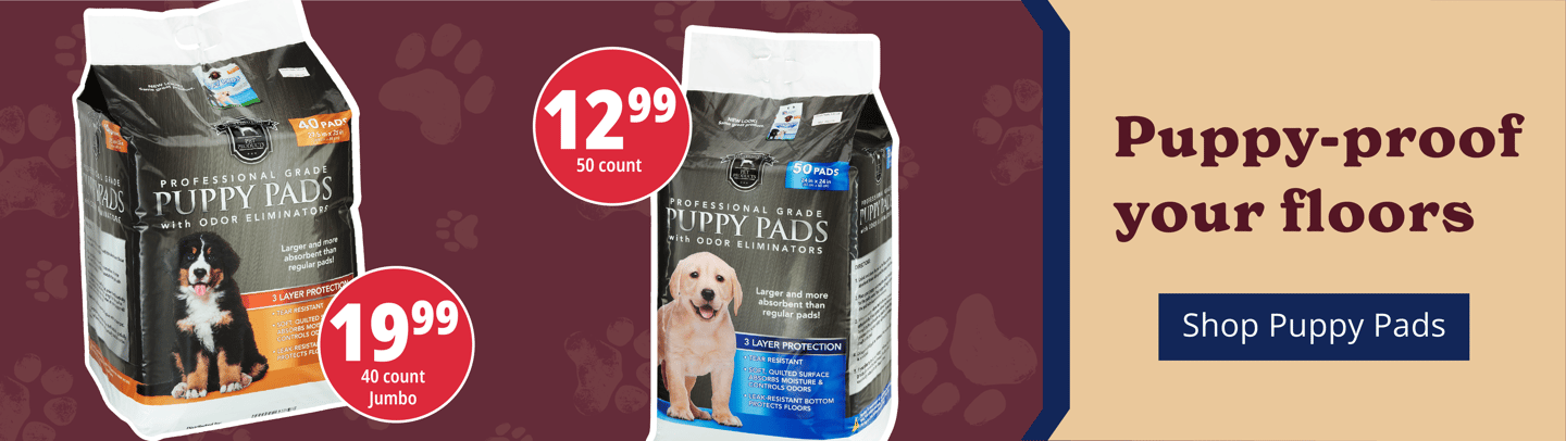 Puppy proof your floors. [Shop Puppy Pads]