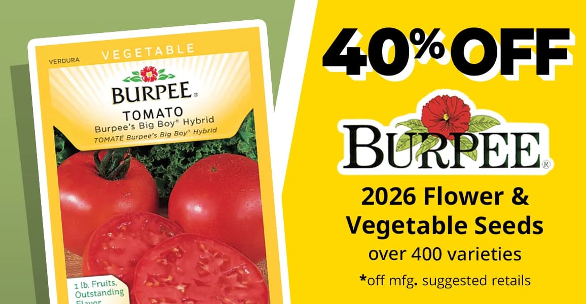 40% off 2026 Flower & Vegetable Burpee Seeds