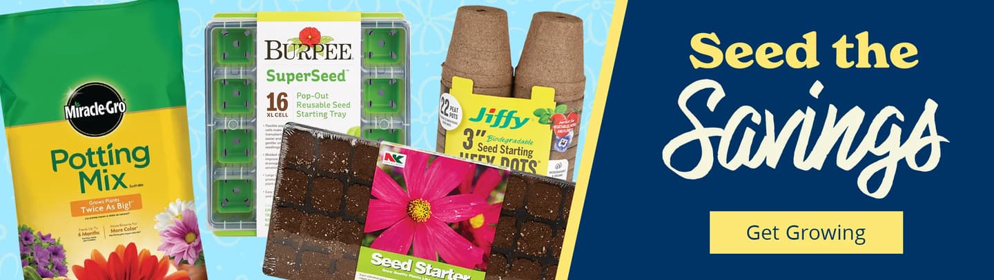 40% back on bird seed