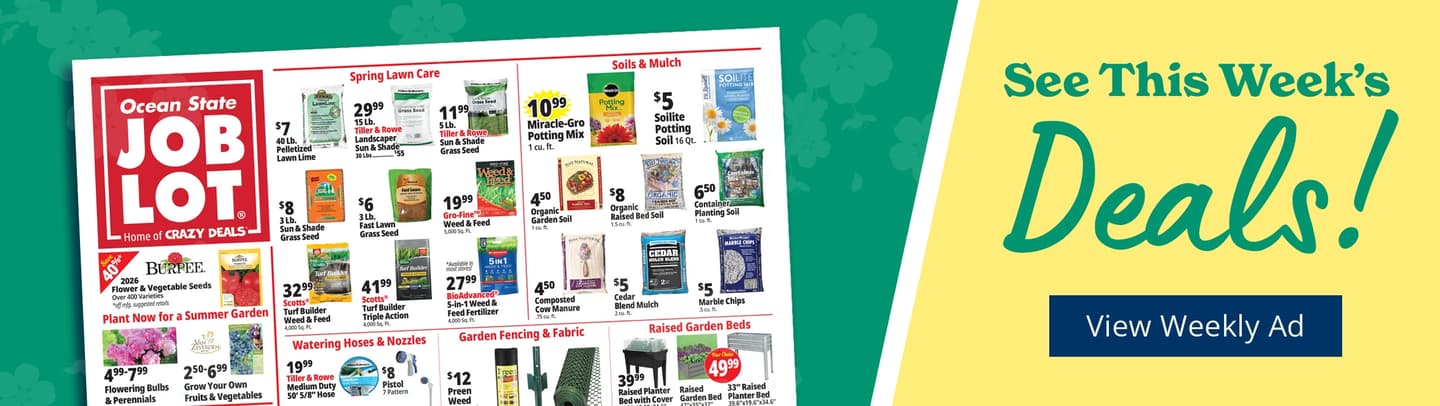 49th anniversary celebration - click to learn more