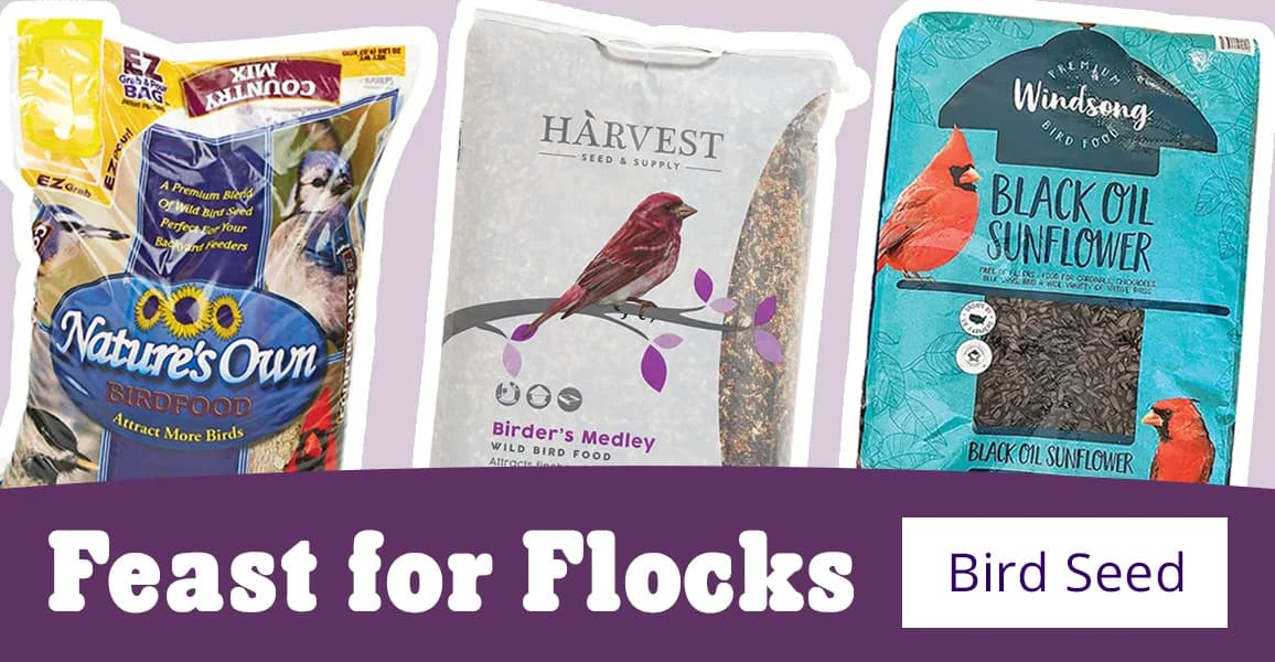 [Bird Seed]