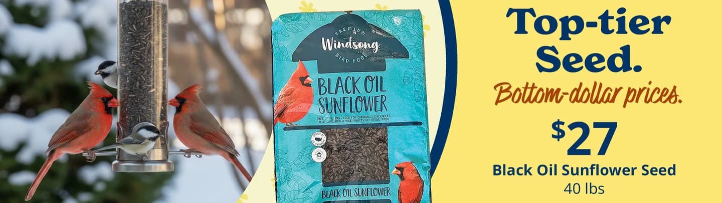 40% back on bird seed