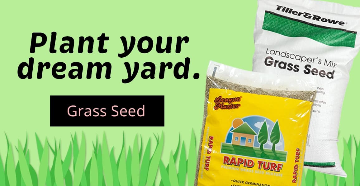 Plant your dream yard. [Grass Seed]