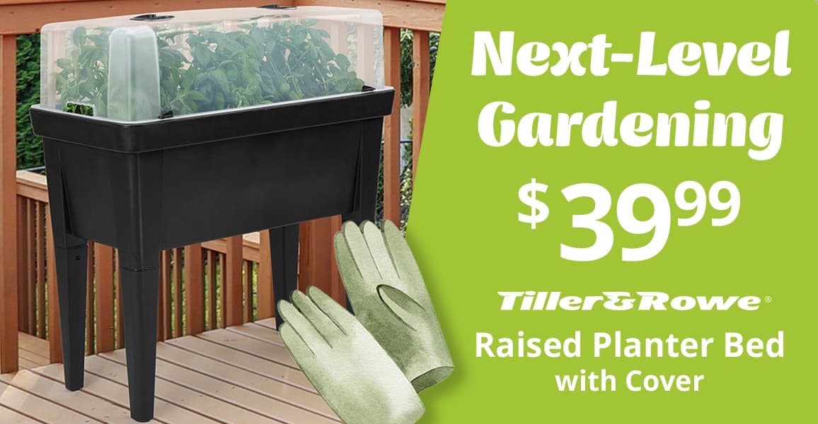 Raised planter bed, $39.99